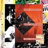 Pat Metheny "Question & Answer"