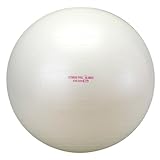 ALINCO エクササイズボール(65cm) EXG025
